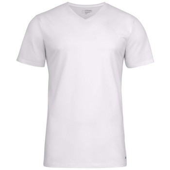 T-Shirt mit modischem V-Ausschnitt Herren
